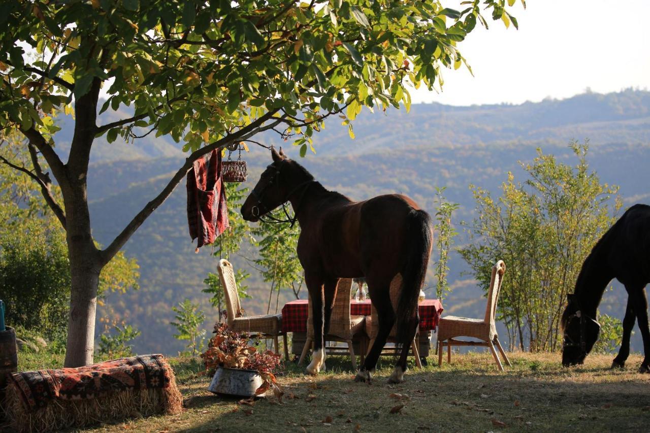 Lost Ridge Inn, Brewery & Ranch Sighnaghi Esterno foto