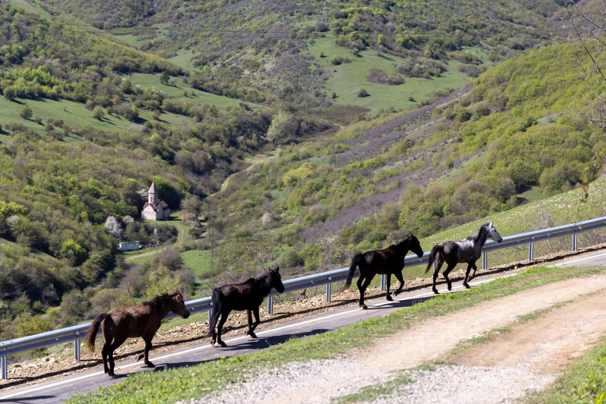 Lost Ridge Inn, Brewery & Ranch Sighnaghi Esterno foto