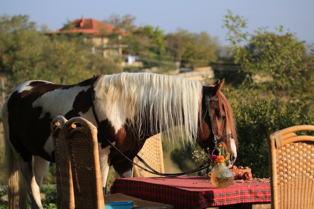 Lost Ridge Inn, Brewery & Ranch Sighnaghi Esterno foto